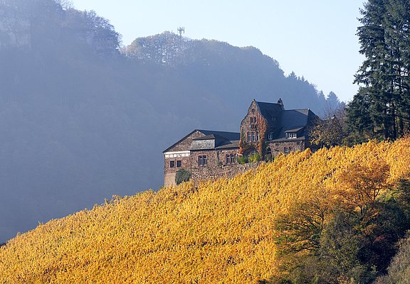 Weingut Würtzberg (4)