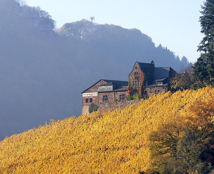 Weingut Würtzberg (4)