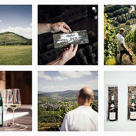Weingut Peter Lauer Ayl (11)