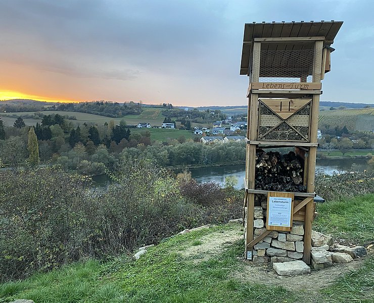 Lebensturm (1)