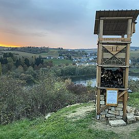 Lebensturm (1)