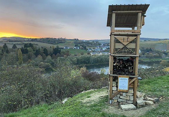 Lebensturm (1)