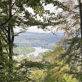Aussicht Saarmündung (01)