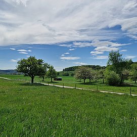Radweg im Konzer Tälchen bei Obermennig
