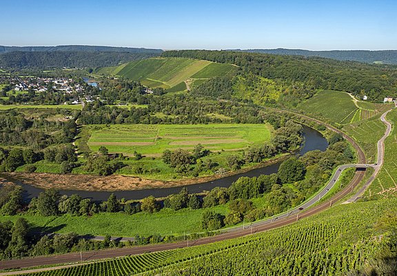 Weinberge Wiltingen