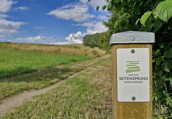 Moselsteig Seitensprung Konzer Höhenrunde (3)