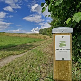 Moselsteig Seitensprung Konzer Höhenrunde (3)