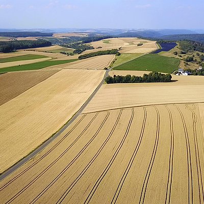 Foto: Saargau (2)