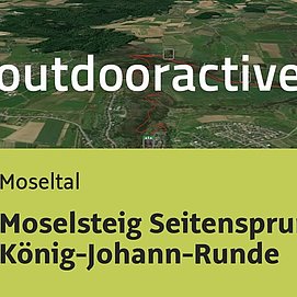 Wanderung im Moseltal: Moselsteig Seitensprung König-Johann-Runde