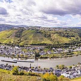 Mosel - Aussicht - Moselschleife - Zeller Land- Zell Mosel