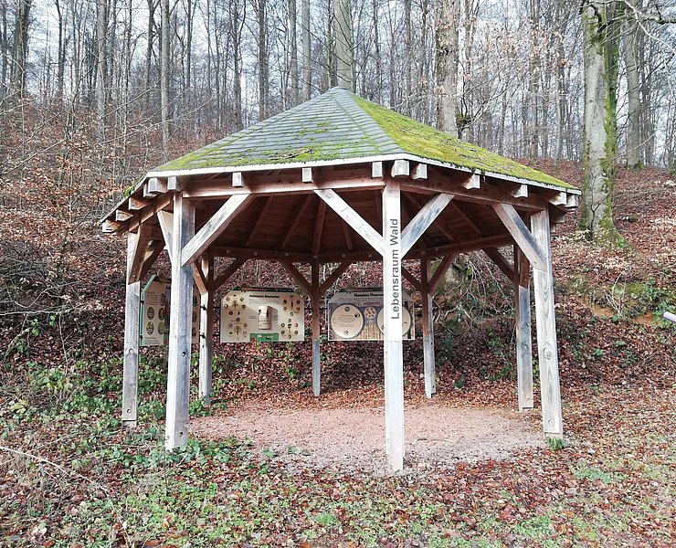 Informationspavillon Lebensraum Wald (1)
