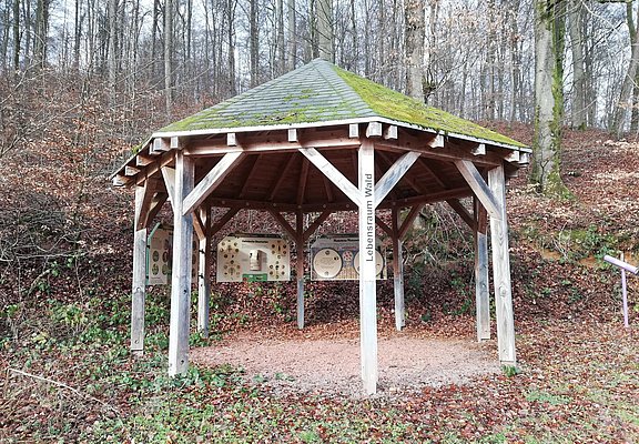 Informationspavillon Lebensraum Wald (1)