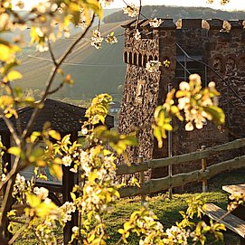 Saar-Riesling-Steig (06)