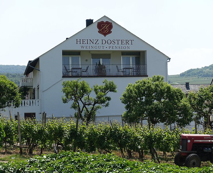 Hausgiebel