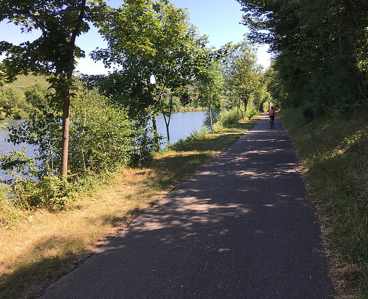 Der Mosel-Radweg bei Temmels