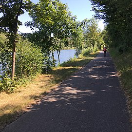 Der Mosel-Radweg bei Temmels