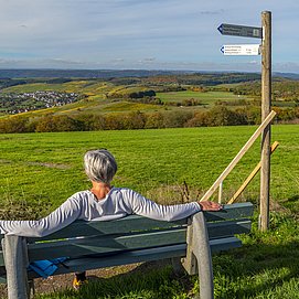 Wandern auf dem "Karlskopf Panoramaweg" (2)