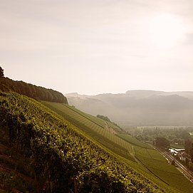 Kanzemer Altenberg