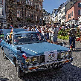 Umzug Saarweinfest (7)