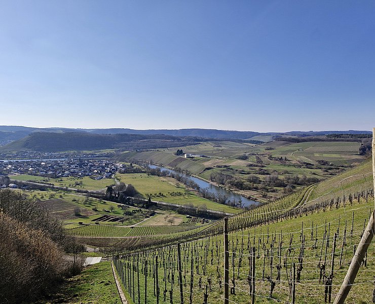 Blick auf Schoden