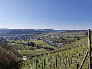 Blick auf Schoden