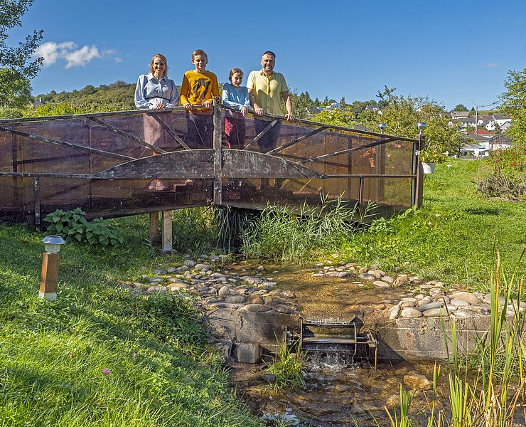 Lebensfluss Fisch (1)