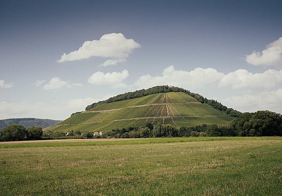 Weingut Peter Lauer Ayl
