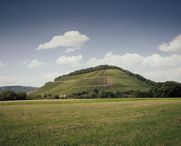 Weingut Peter Lauer Ayl