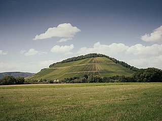 Weingut Peter Lauer Ayl