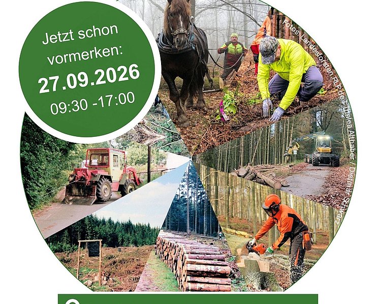 Walderlebnistag