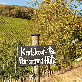 Karlskopf-Panorama-Hütte (7)