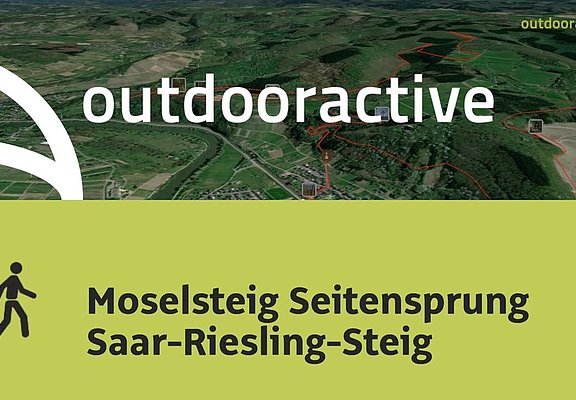 Wanderung in Saar-Ruwer: Moselsteig Seitensprung Saar-Riesling-Steig