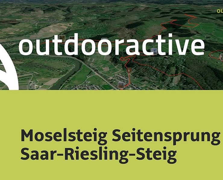 Wanderung in Saar-Ruwer: Moselsteig Seitensprung Saar-Riesling-Steig