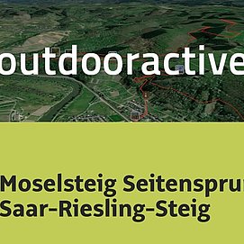 Wanderung in Saar-Ruwer: Moselsteig Seitensprung Saar-Riesling-Steig