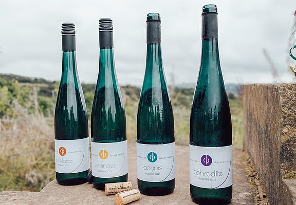 Weinwanderung Saar (02)