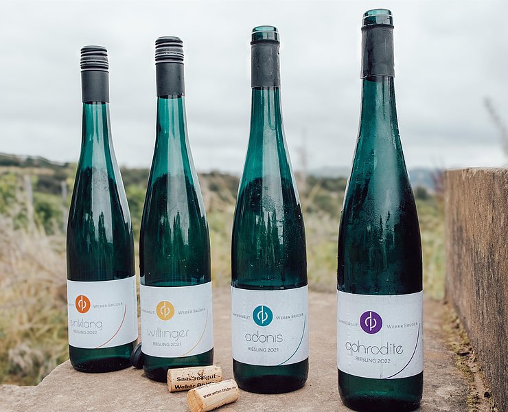 Weinwanderung Saar (02)