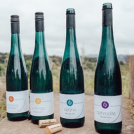 Weinwanderung Saar (02)