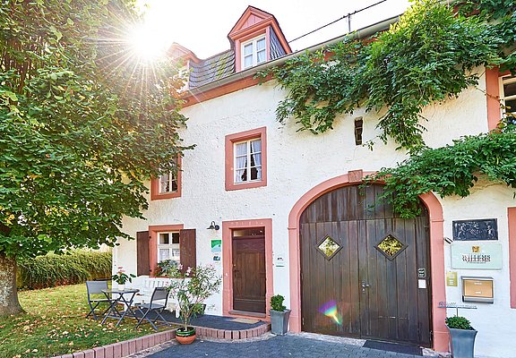 Weingut Willems-Willems (1)