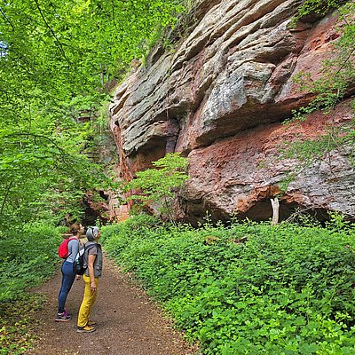 Foto: Kollesleuker Schweiz (1)