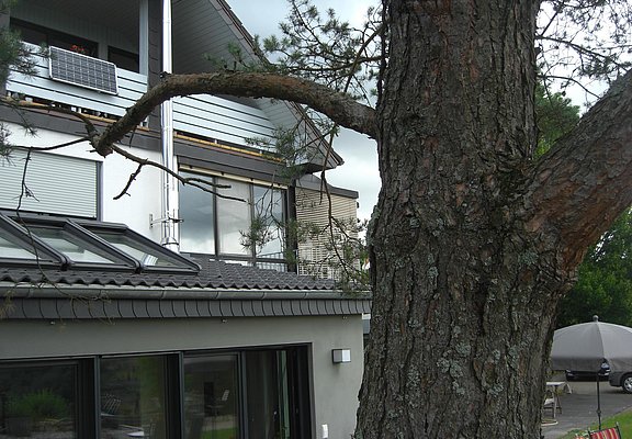 Ferienwohnung Alter Weinberg Saarburg (01)