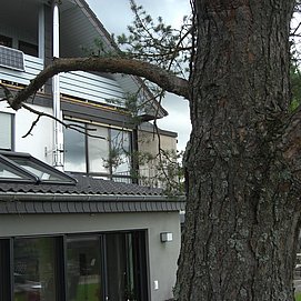 Ferienwohnung Alter Weinberg Saarburg (01)