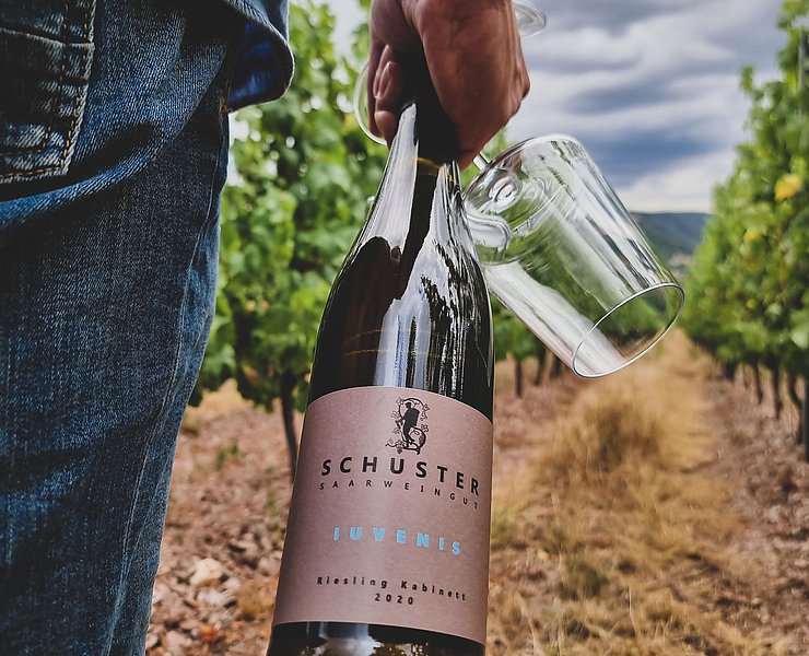 Weingut Schuster Oberemmel (03)