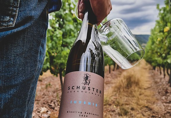 Weingut Schuster Oberemmel (03)