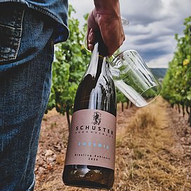 Weingut Schuster Oberemmel (03)