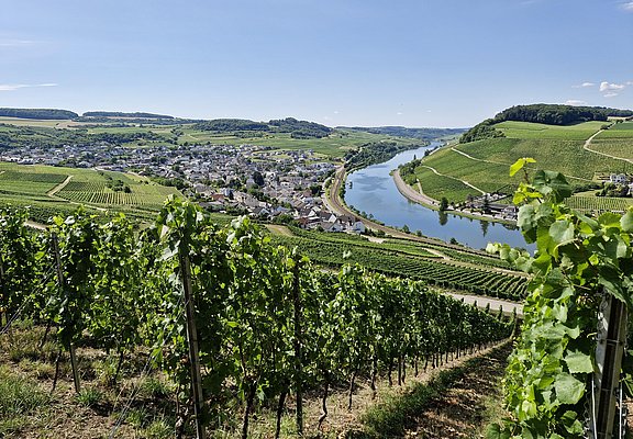Kellertage Nittel (1)