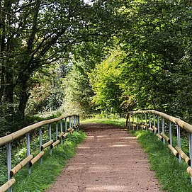 Spazierweg Warsberg