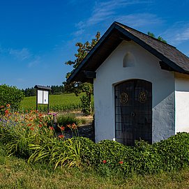 Premiumwanderweg Konzer Höhenrunde (02)