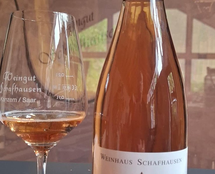 Weingut Schafhausen Kanzem (02)