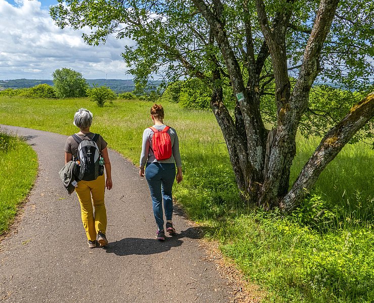 Gemeinsame Wanderung