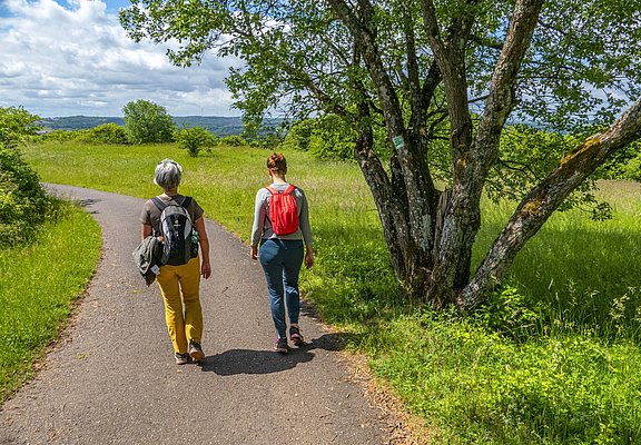 Gemeinsame Wanderung